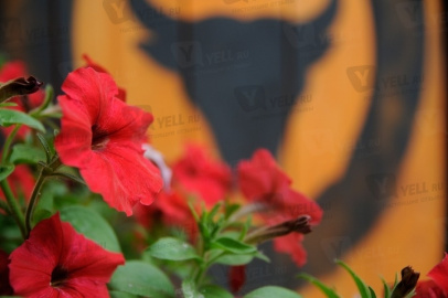 Тапас Барслона на Чернышевского