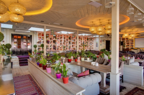 Урюк на Вавилова