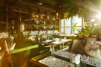 Баклажан на Полюстровском