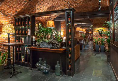 Бизон на Китай городе