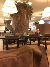 Кафе Бухарест