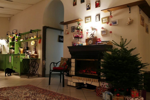 Антикафе Котиссимо