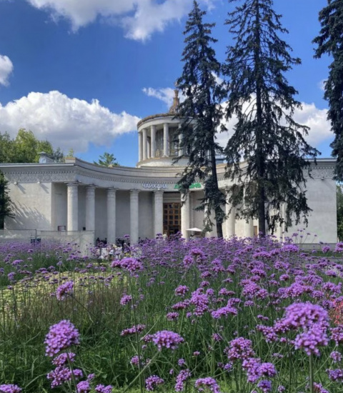 Чайхана Долина на проспекте Мира